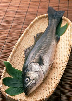 こちらのホストクラブはイケメン揃い